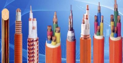 西安津成電線電纜陜西直營店 專業(yè)電纜經(jīng)營服務(wù)