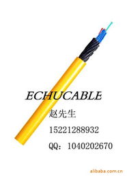 上海易初電線電纜 專業(yè)電氣設(shè)備用電纜產(chǎn)品列表與經(jīng)營概述